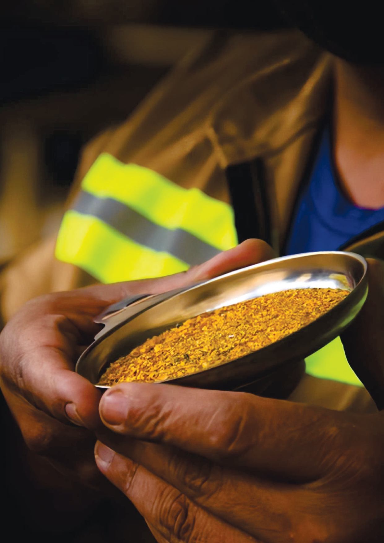 Copia de Barreras-de-formalización-en-la-cadena-de-oro-Colombia (1)_page-0005 Copia de Barreras-de-formalización-en-la-cadena-de-oro-Colombia (1)_page-0005